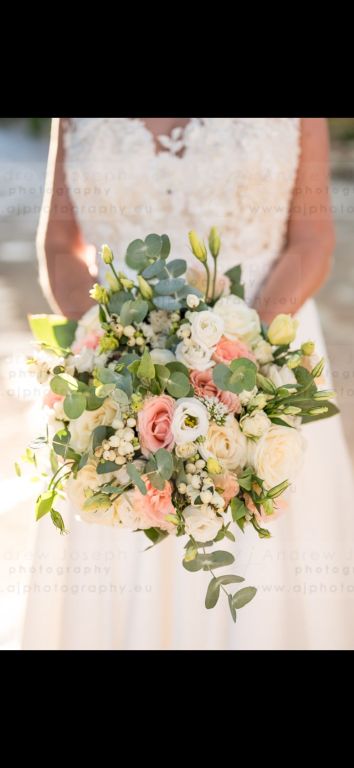 10164476697547650 4980033673203049900 n